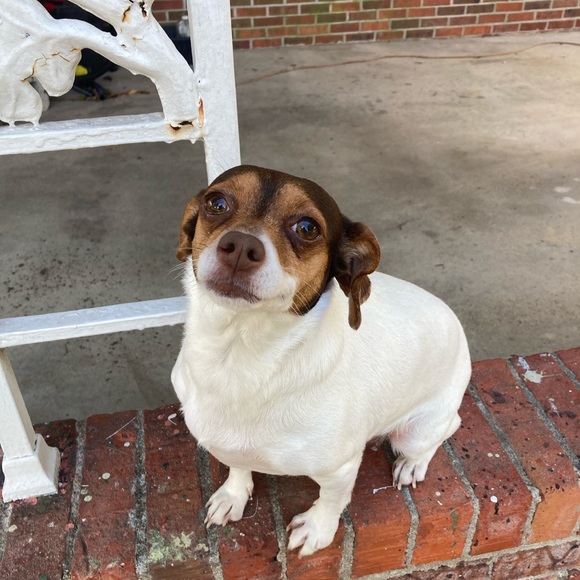 Hey y’all! I’m Ashley 😉 - Picture 7 of 9